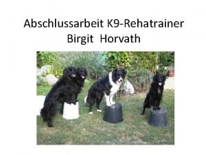 Birgit horvath