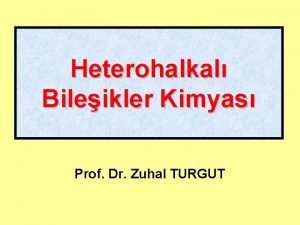 Zuhal turgut