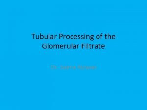 Tubular Processing of the Glomerular Filtrate Dr Saima
