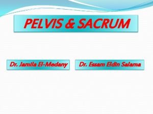 PELVIS SACRUM Dr Jamila ElMedany Dr Essam Eldin