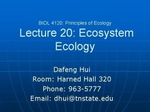 BIOL 4120 Principles of Ecology Lecture 20 Ecosystem