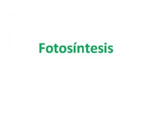 Fotolisis