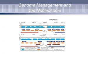 Genome Management and the Nucleosome Segal et al