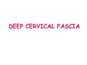 DEEP CERVICAL FASCIA Posses three layers from outside