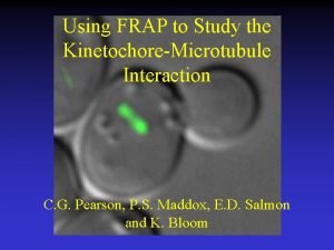 Using FRAP to Study the KinetochoreMicrotubule Interaction C