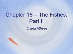 Chapter 16 The Fishes Part II Osteichthyes Gnathostome