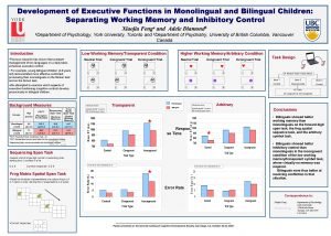 Development of Executive Functions in Monolingual and Bilingual