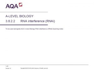 ALEVEL BIOLOGY 3 8 2 2 RNA interference