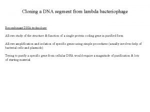 Cloning a DNA segment from lambda bacteriophage Recombinant