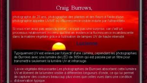 Craig burrows