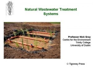 Natural Wastewater Treatment Systems Professor Nick Gray Centre