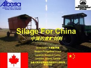 Silage For China Arvid Aasen Western ForageBeef Group