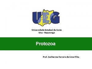 Universidade Estadual de Gois Unu Itapuranga Protozoa Prof