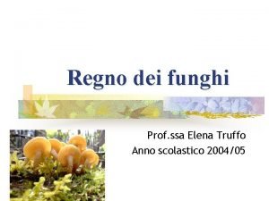 Regno dei funghi Prof ssa Elena Truffo Anno