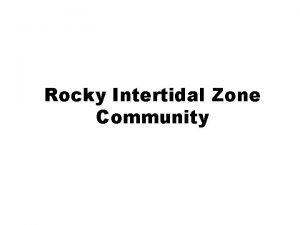 Rocky Intertidal Zone Community Intertidal Zone Area of