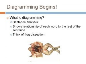 Diagramming Begins What is diagramming Sentence analysis Shows