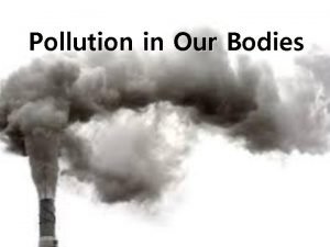 Pollution in Our Bodies Body Pollution pollution in