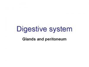 Digestive system Glands and peritoneum Glands of the