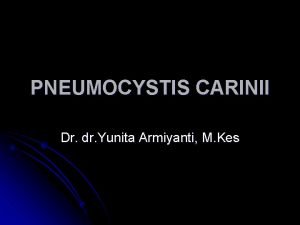 PNEUMOCYSTIS CARINII Dr dr Yunita Armiyanti M Kes