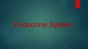 Endocrine System What is the Endocrine System Endocrine