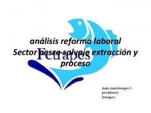 anlisis reforma laboral Sector pesca salvaje extraccin y
