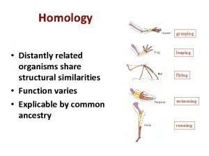 Homology grasping Distantly related organisms share structural similarities