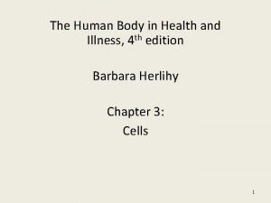 The Human Body in Health and Illness 4