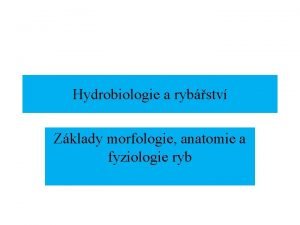 Hydrobiologie a rybstv Zklady morfologie anatomie a fyziologie