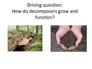 Driving question How do decomposers grow and function