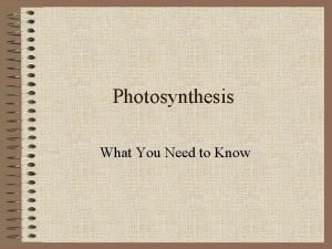 Where does photosynthesis occur