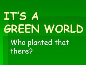 Green plants make their own food by photosynthesis