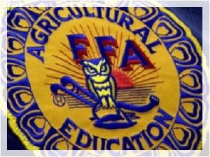 Ffa colors meaning