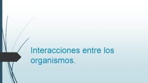 Mutualismo interaccion biologica