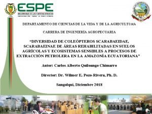 Diversidad beta