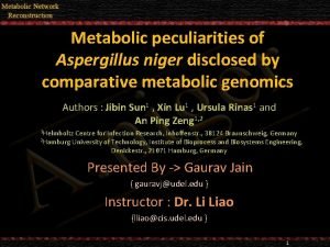 Metabolic peculiarities of Aspergillus niger disclosed by comparative