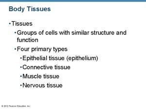 Body Tissues Groups of cells with similar structure