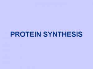 PROTEIN SYNTHESIS Protein Synthesis The production synthesis of