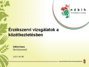 rzkszervi vizsglatok a kztkeztetsben Zoltai Anna Osztlyvezet 2013