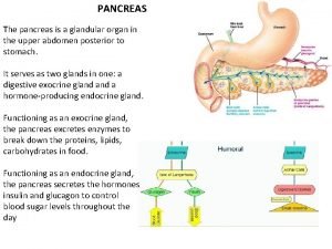 Glandular organ Glandular organ