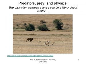 Predators prey and physics the distinction between v