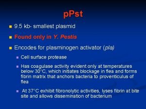 Smallest plasmid