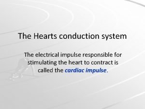 The Hearts conduction system The electrical impulse responsible