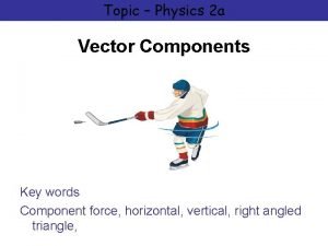 Vector sign physics