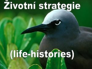 ivotn strategie life histories Vechny organismy se v