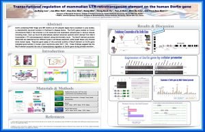 Transcriptional regulation of mammalian LTRretrotransposon element on the