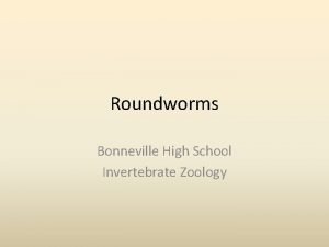 Roundworms Bonneville High School Invertebrate Zoology Section Objectives