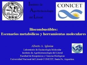 Instituto de Agrobiotecnologa del Litoral Biocombustibles Escenarios metablicos