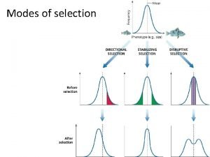 Stabilizing selection example Stabilizing selection example
