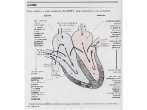 Regolazione omeometrica