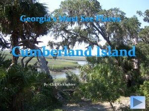 Cumberland island facts